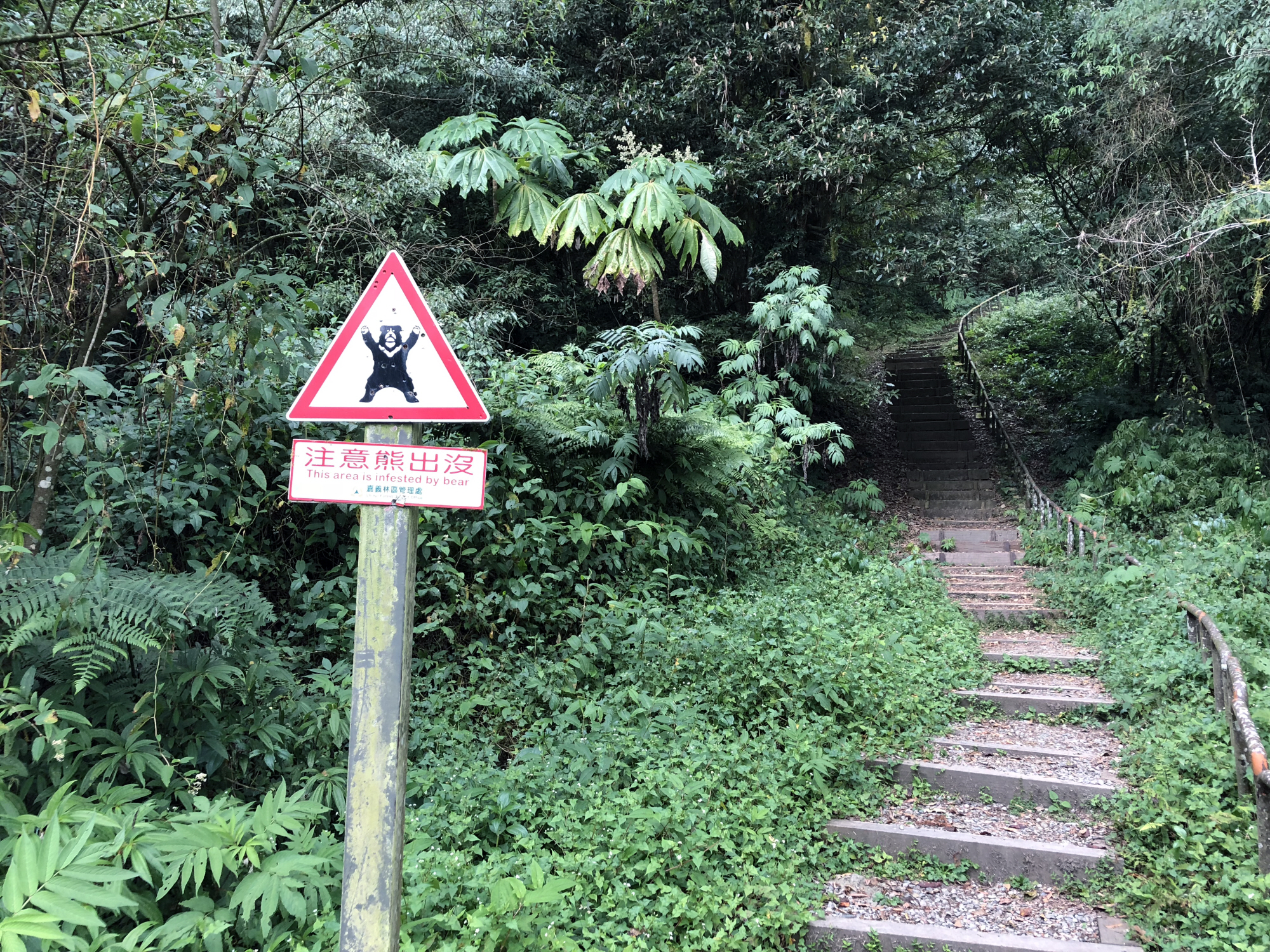 Reise durch Taiwan