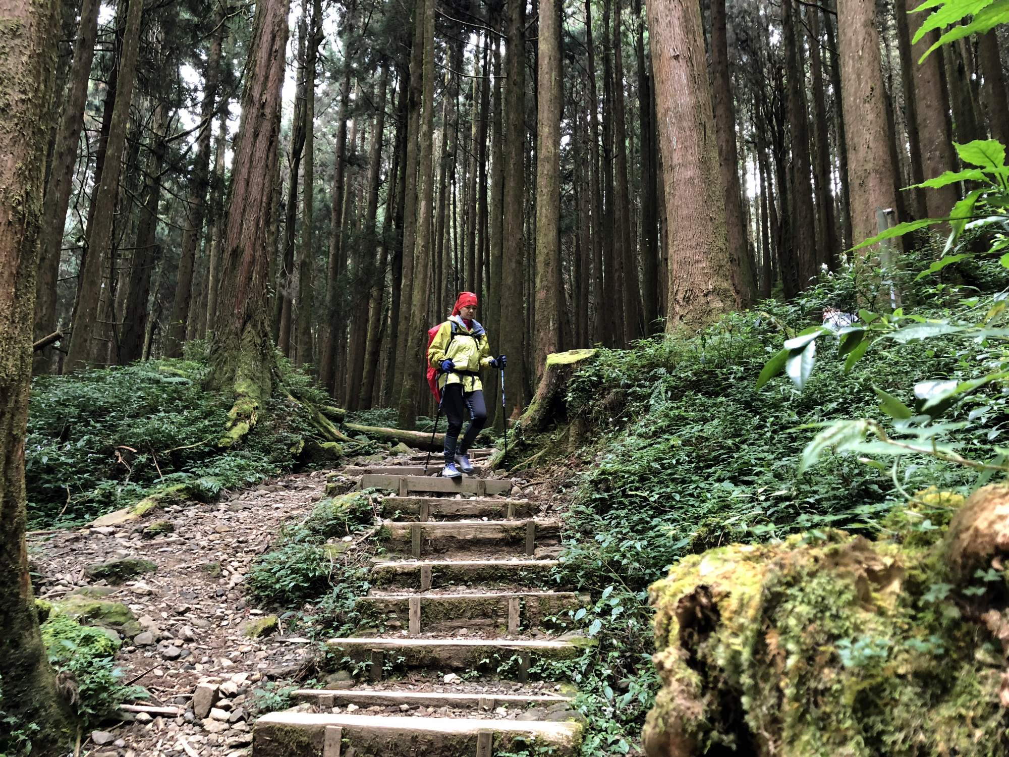 Reise durch Taiwan