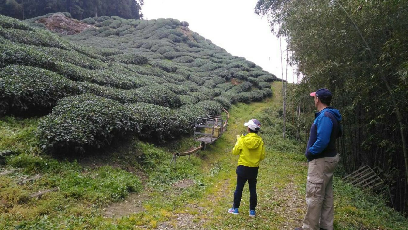 Reise durch Taiwan