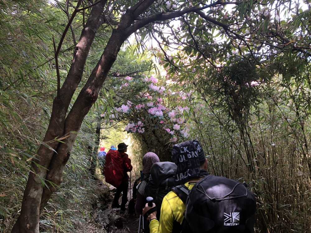 Reise durch Taiwan Reise durch Taiwan