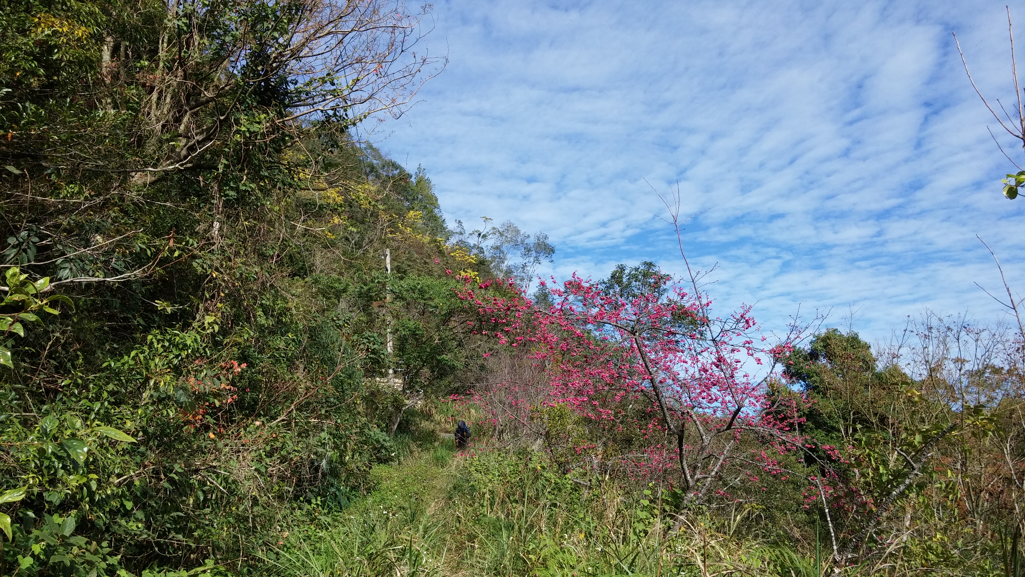 Reise durch Taiwan
