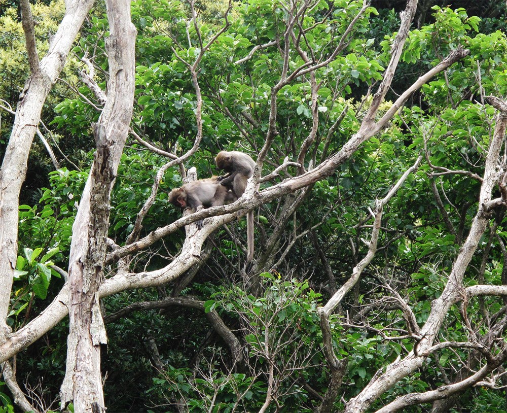 Reise durch Taiwan