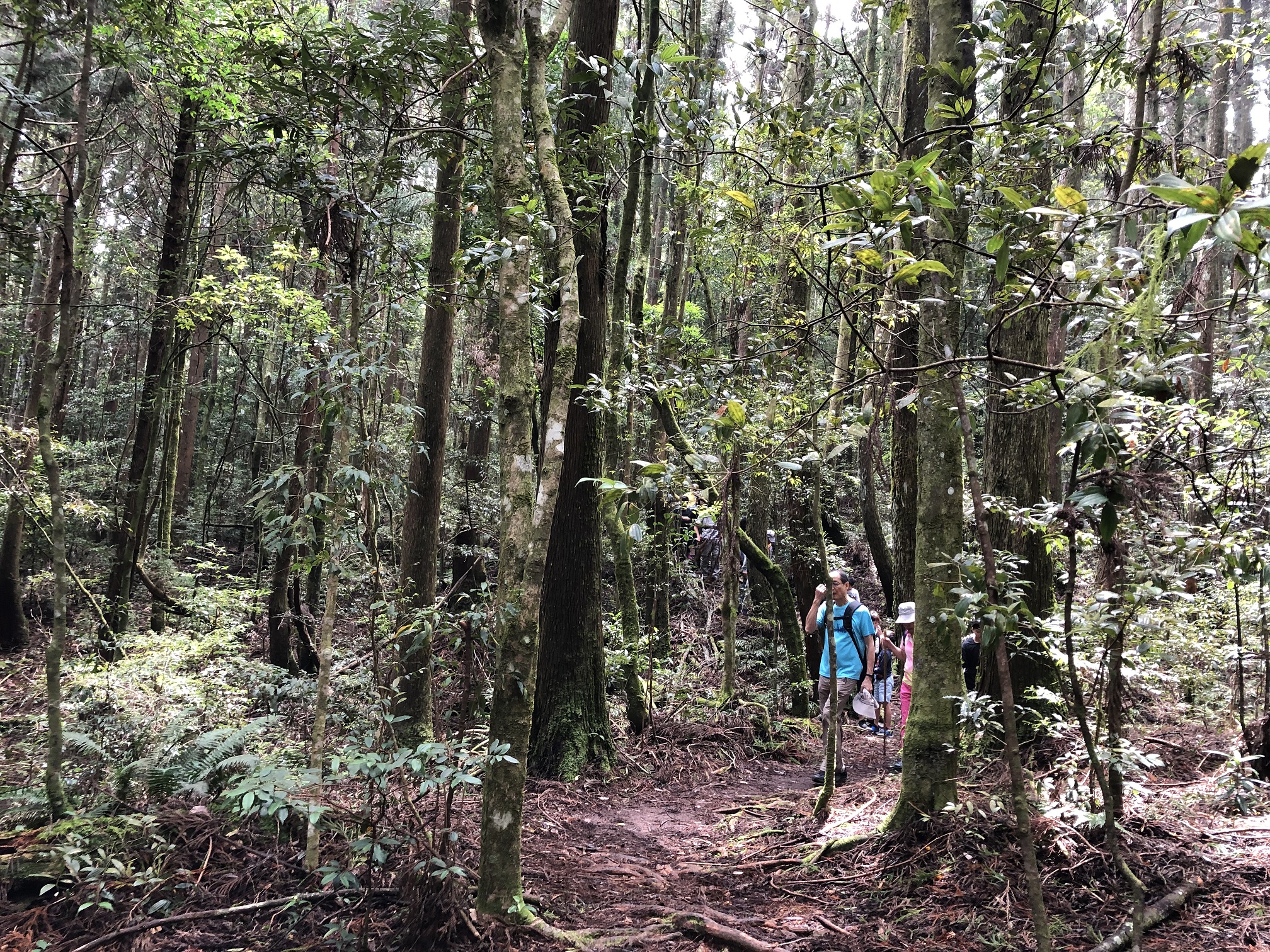 Reise durch Taiwan