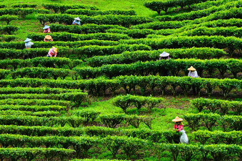 Kulinarisches Taiwan