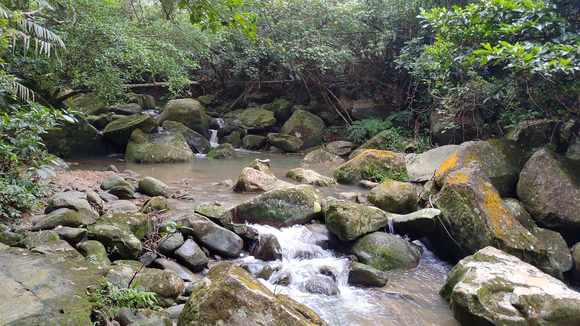 Reise durch Taiwan Reise durch Taiwan
