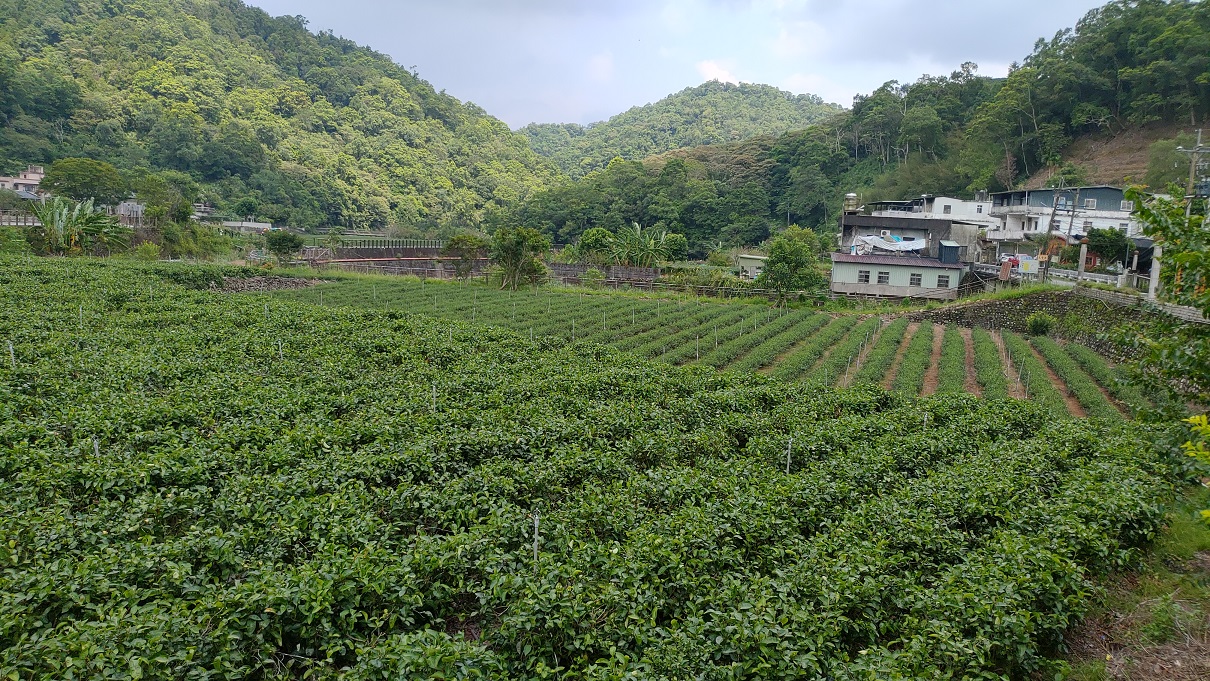 Reise durch Taiwan Reise durch Taiwan