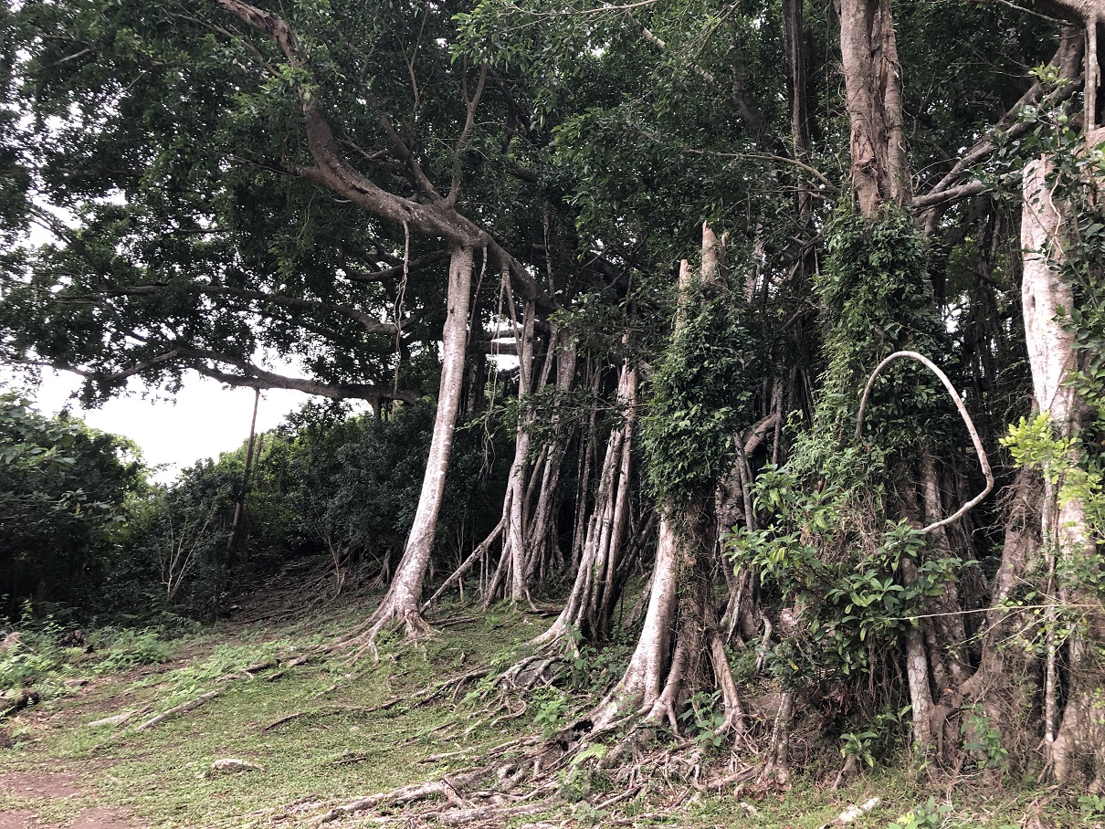 Reise durch Taiwan