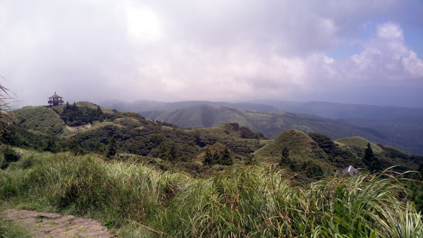 Formosaik