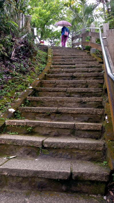 Formosaik
