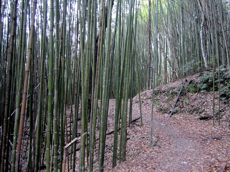 Reise durch Taiwan