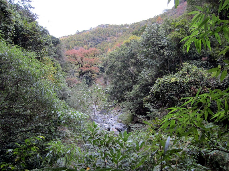 Reise durch Taiwan