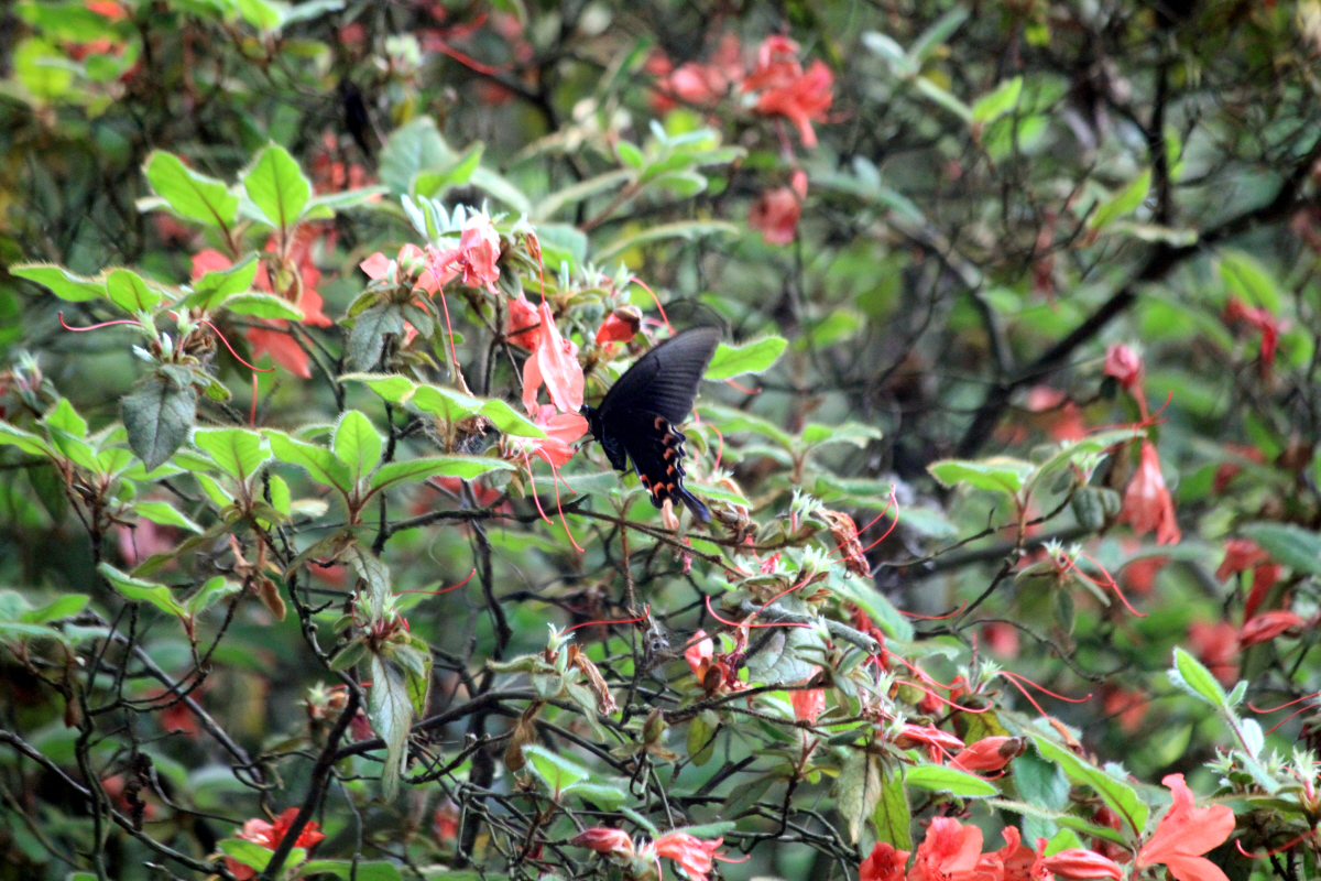 Reise durch Taiwan