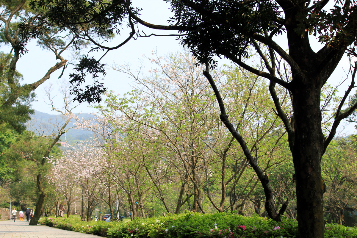 Reise durch Taiwan