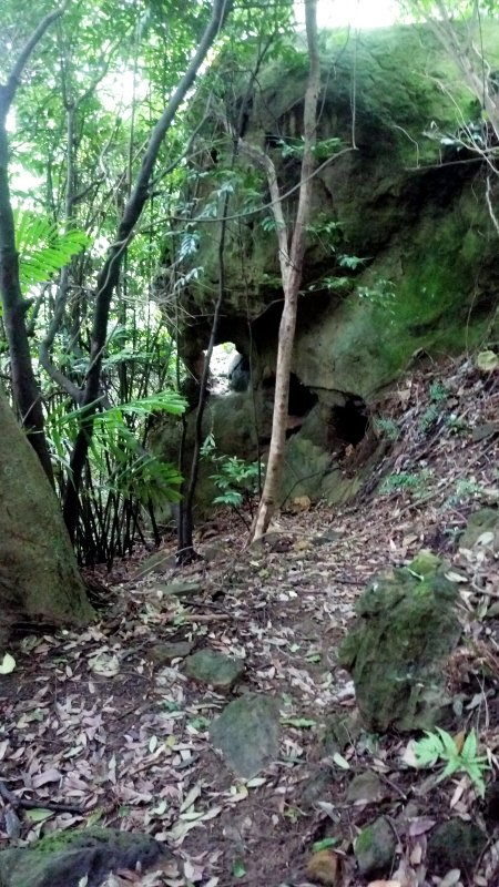 Formosaik