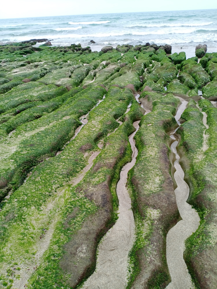 Formosaik