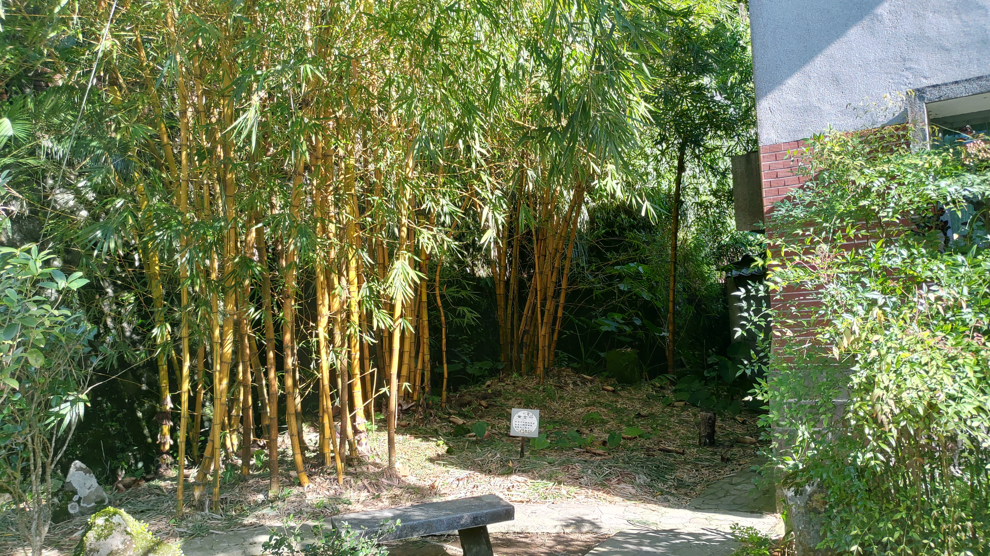 Formosaik