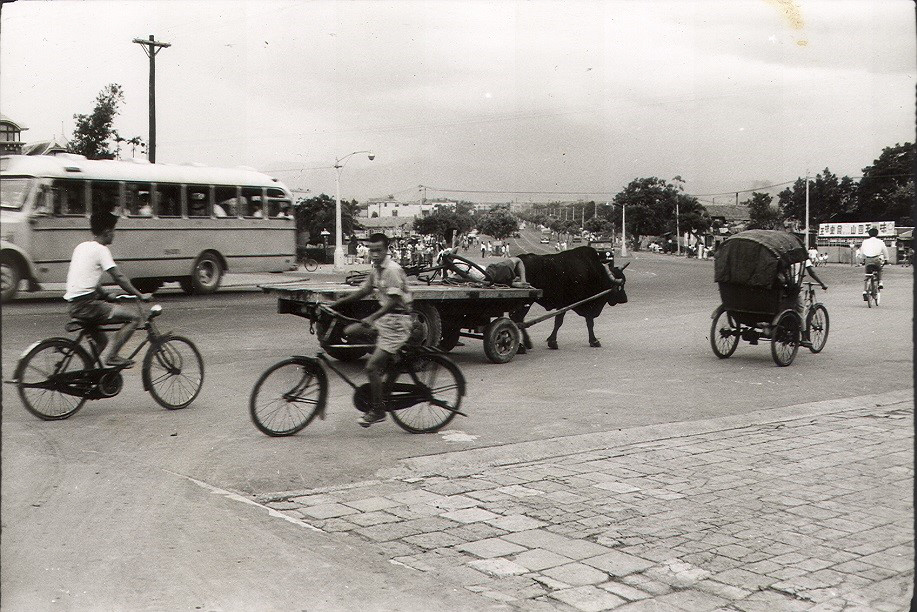 Formosaik