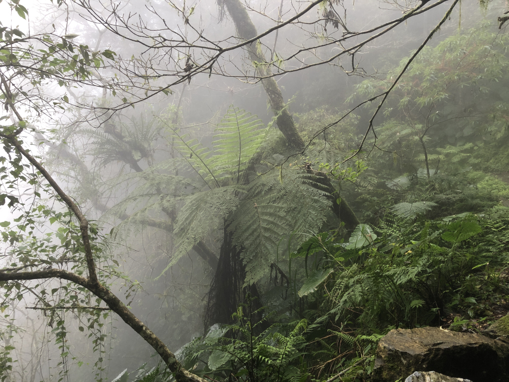 Reise durch Taiwan