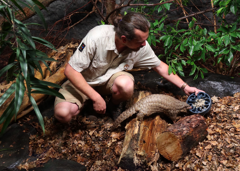 Rhapsodien der Natur Rhapsodien der Natur
