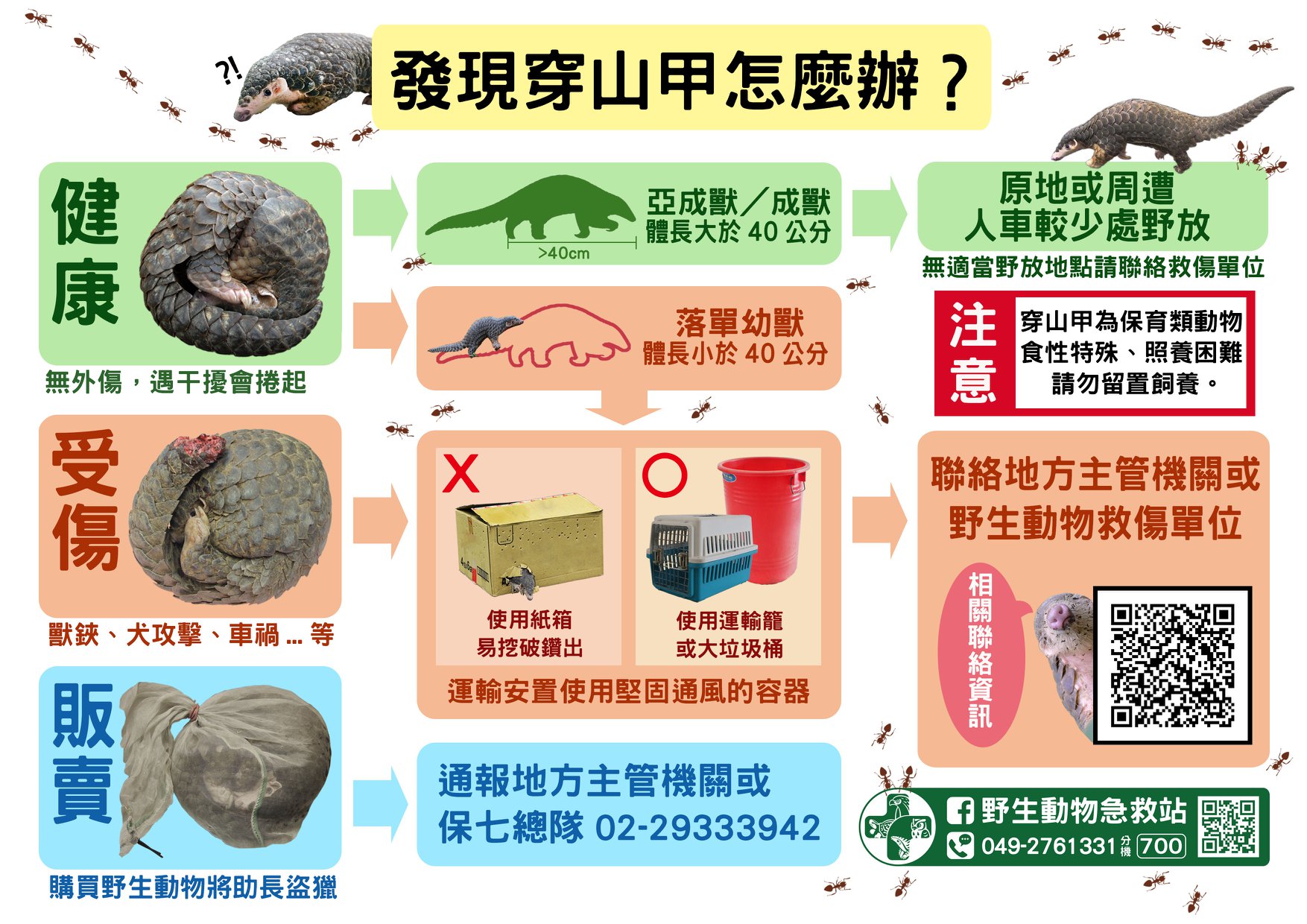Rhapsodien der Natur