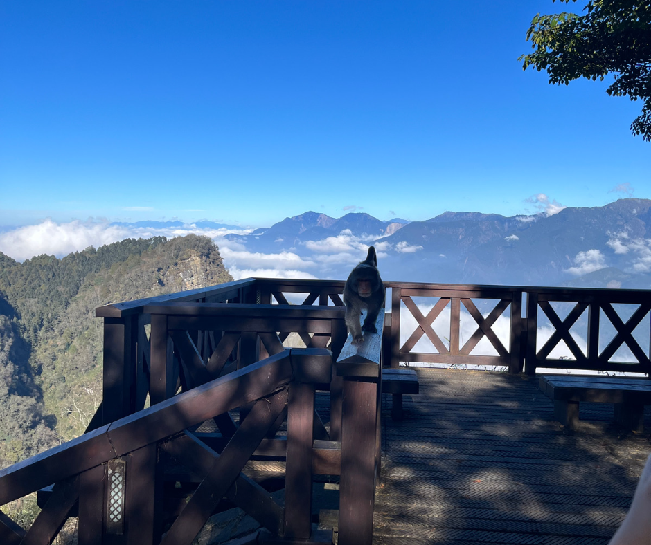 Reise durch Taiwan
