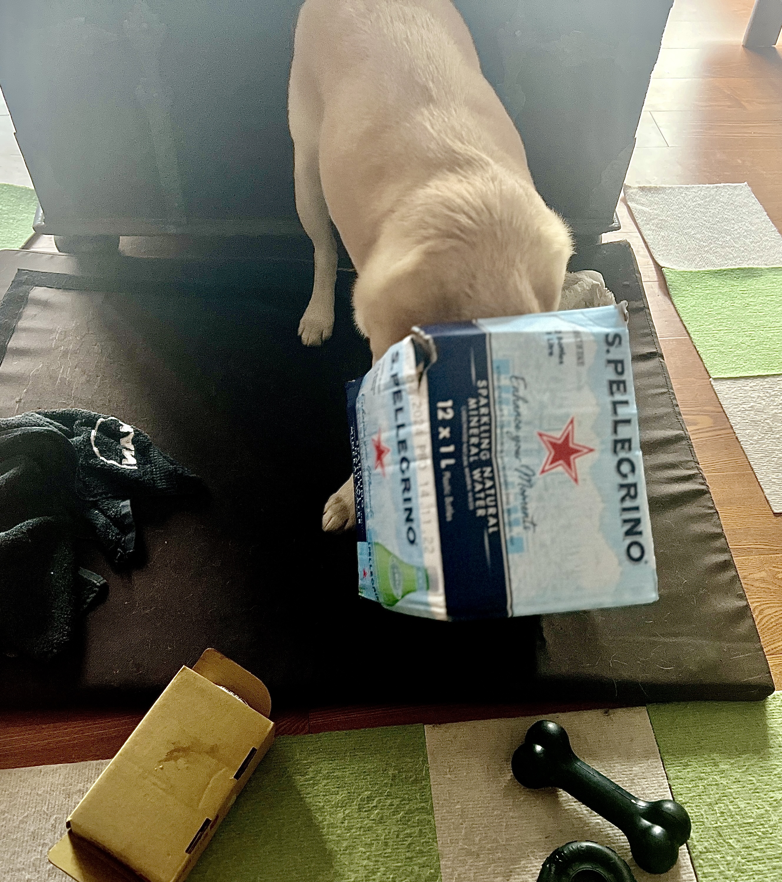 Leben in Taiwan