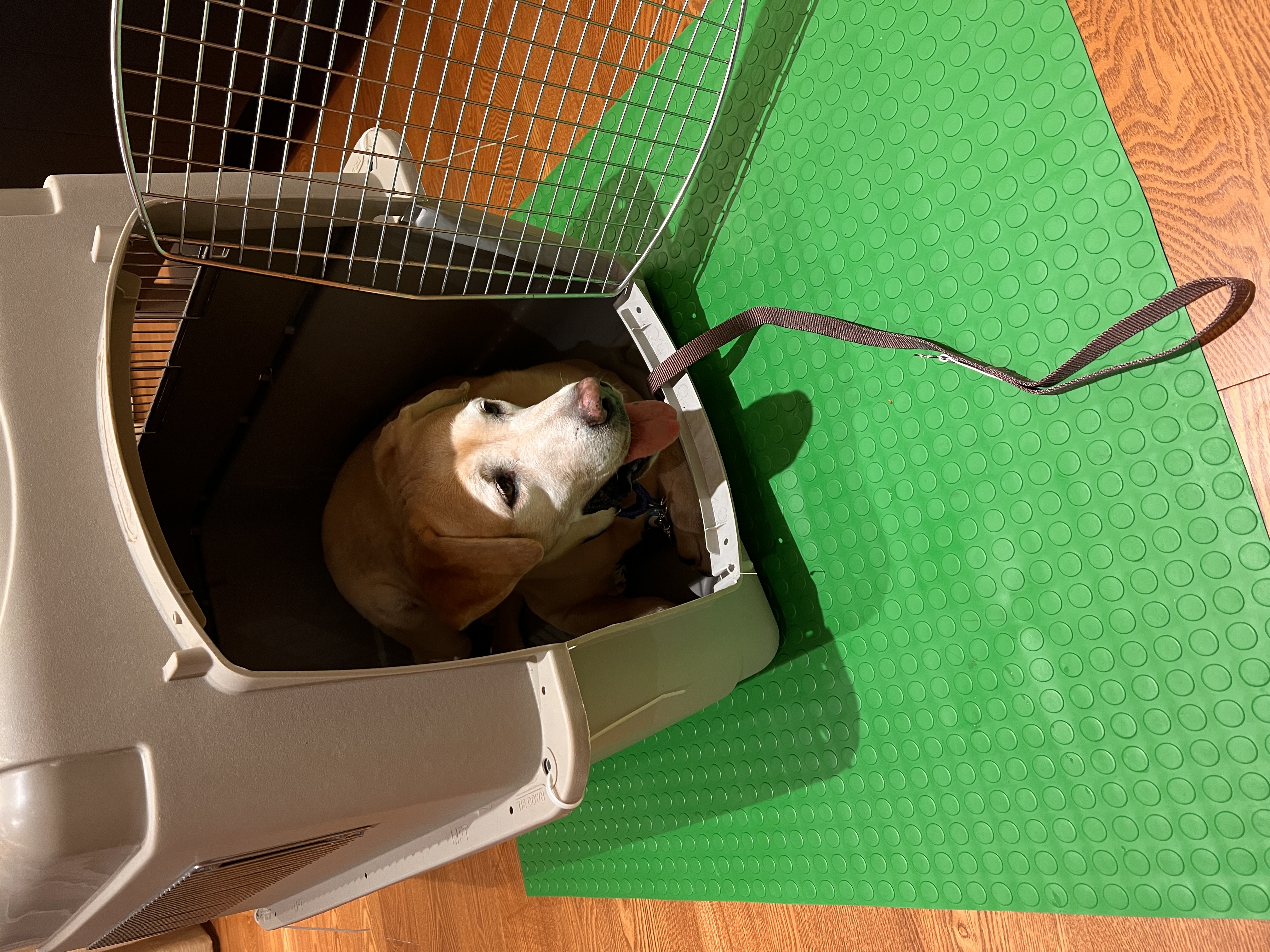 Leben in Taiwan