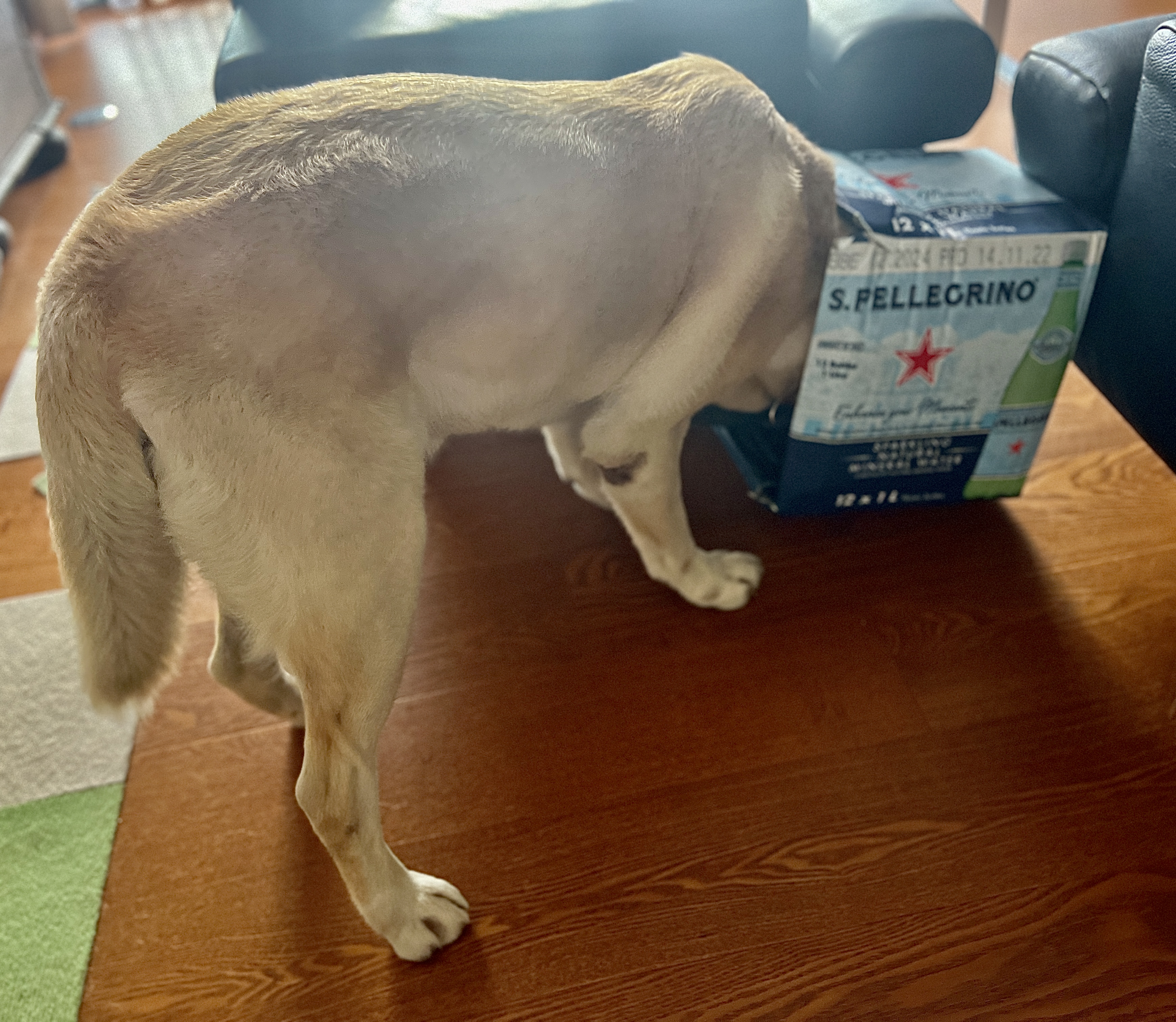 Leben in Taiwan