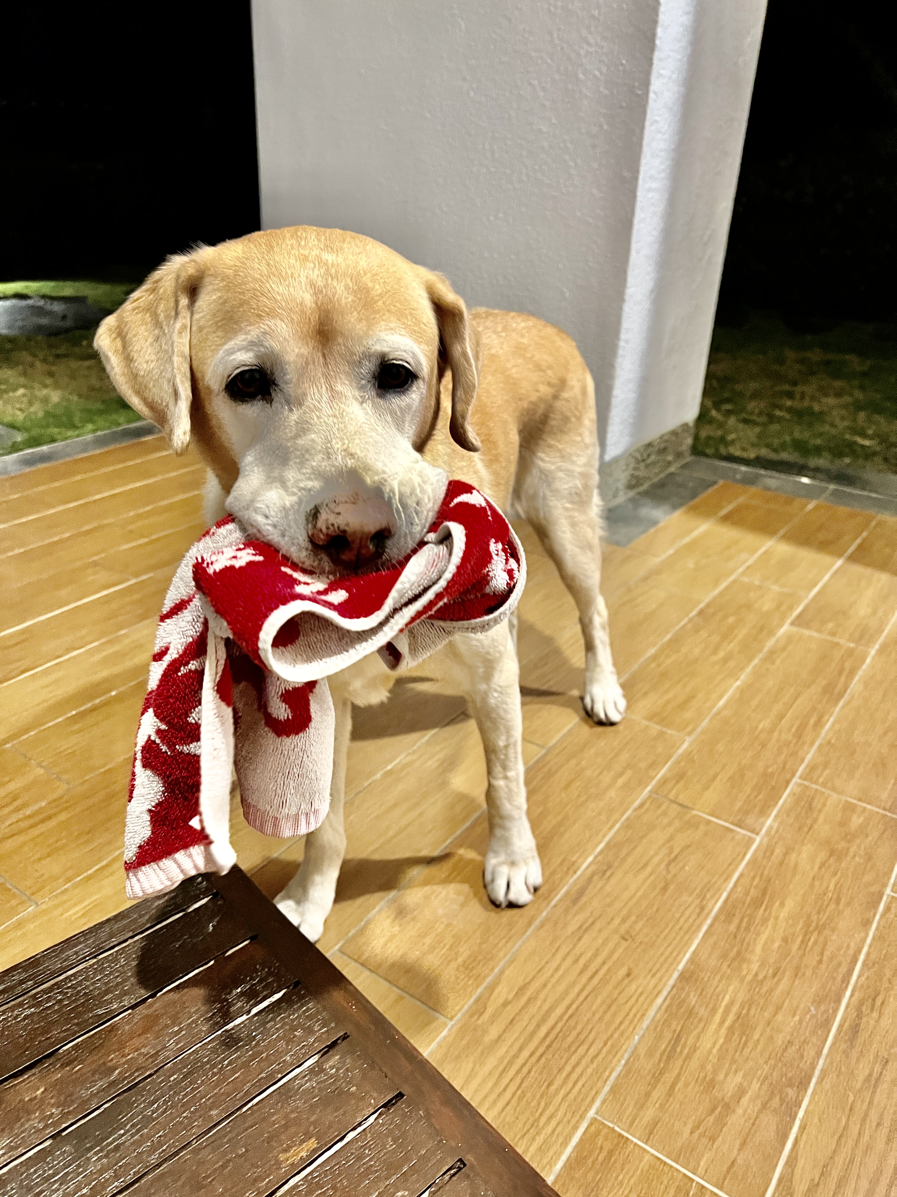 Leben in Taiwan