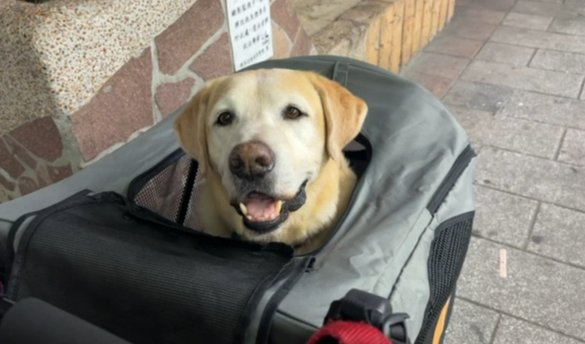 Leben in Taiwan