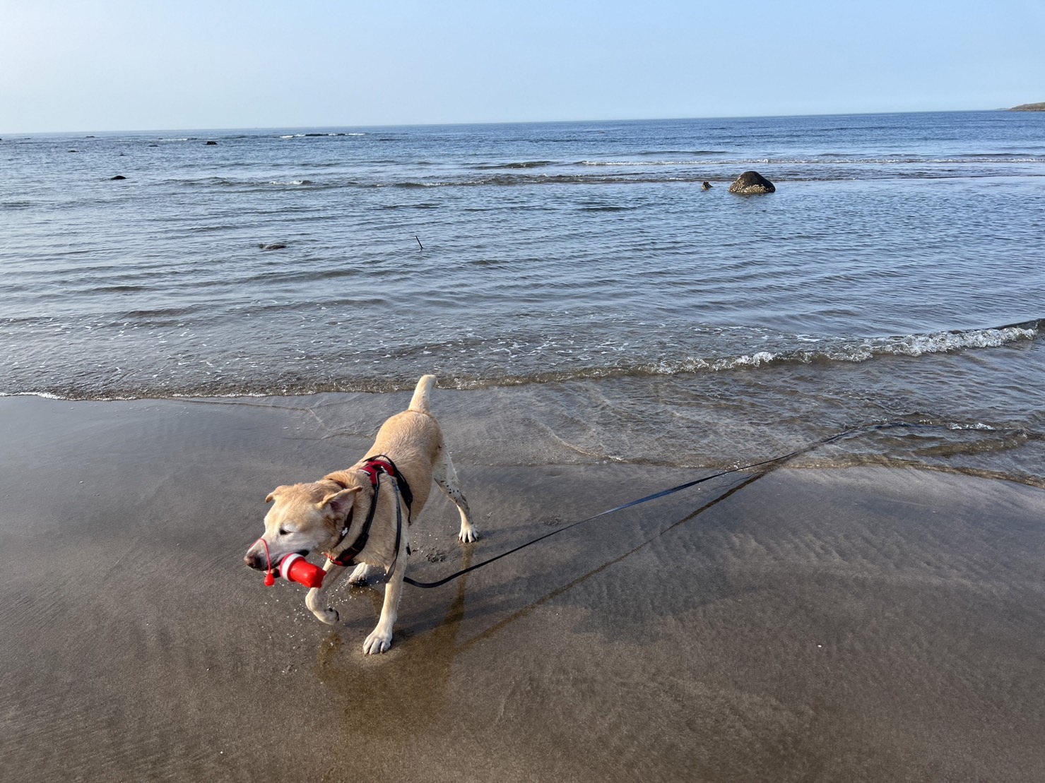 Leben in Taiwan