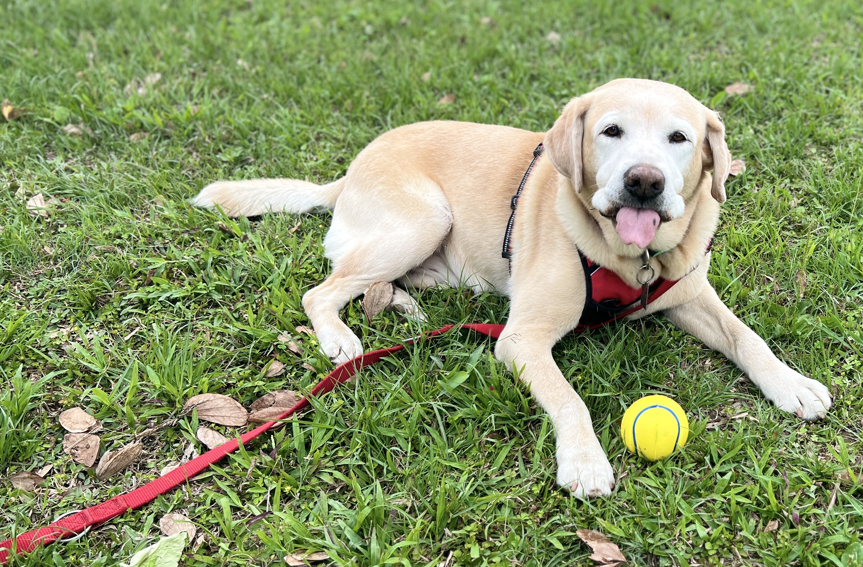Leben in Taiwan