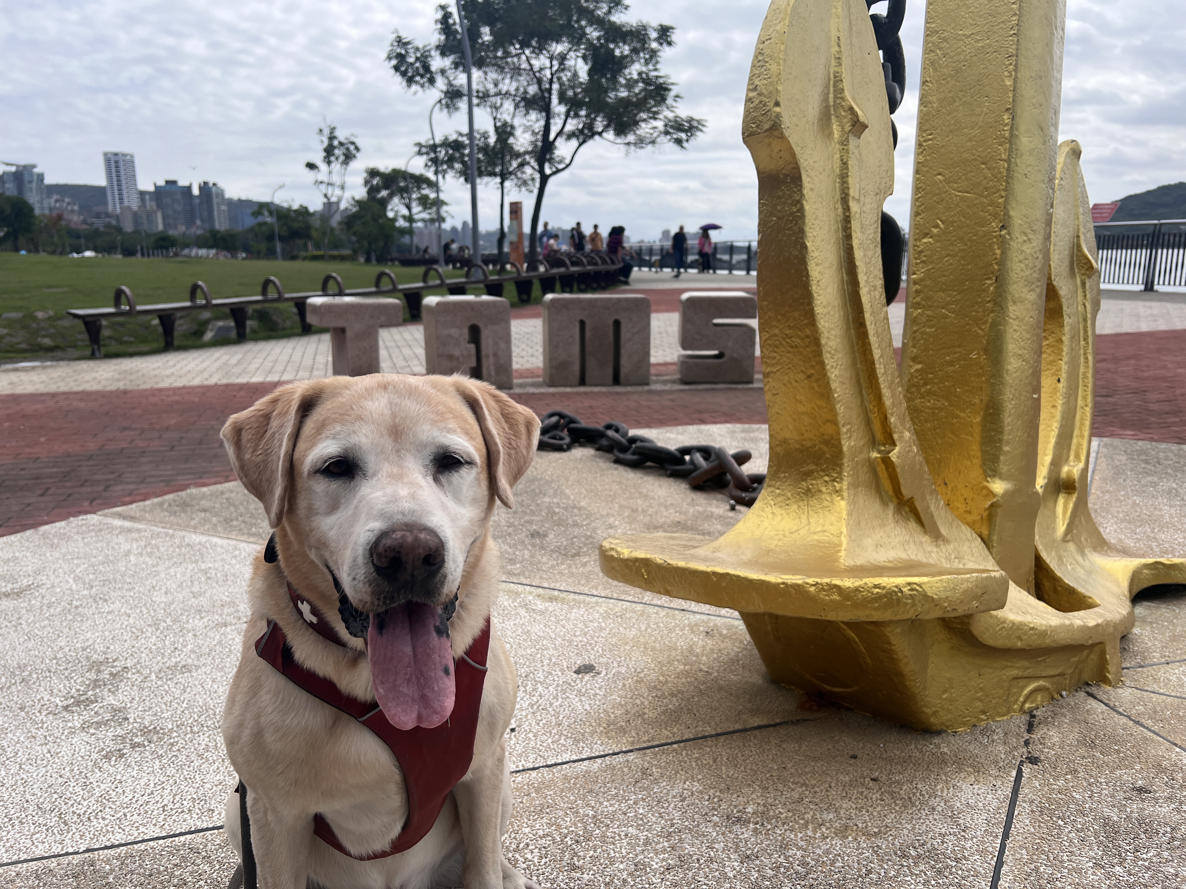 Tierisch unterwegs in Taiwan - mit Christiane und Bond