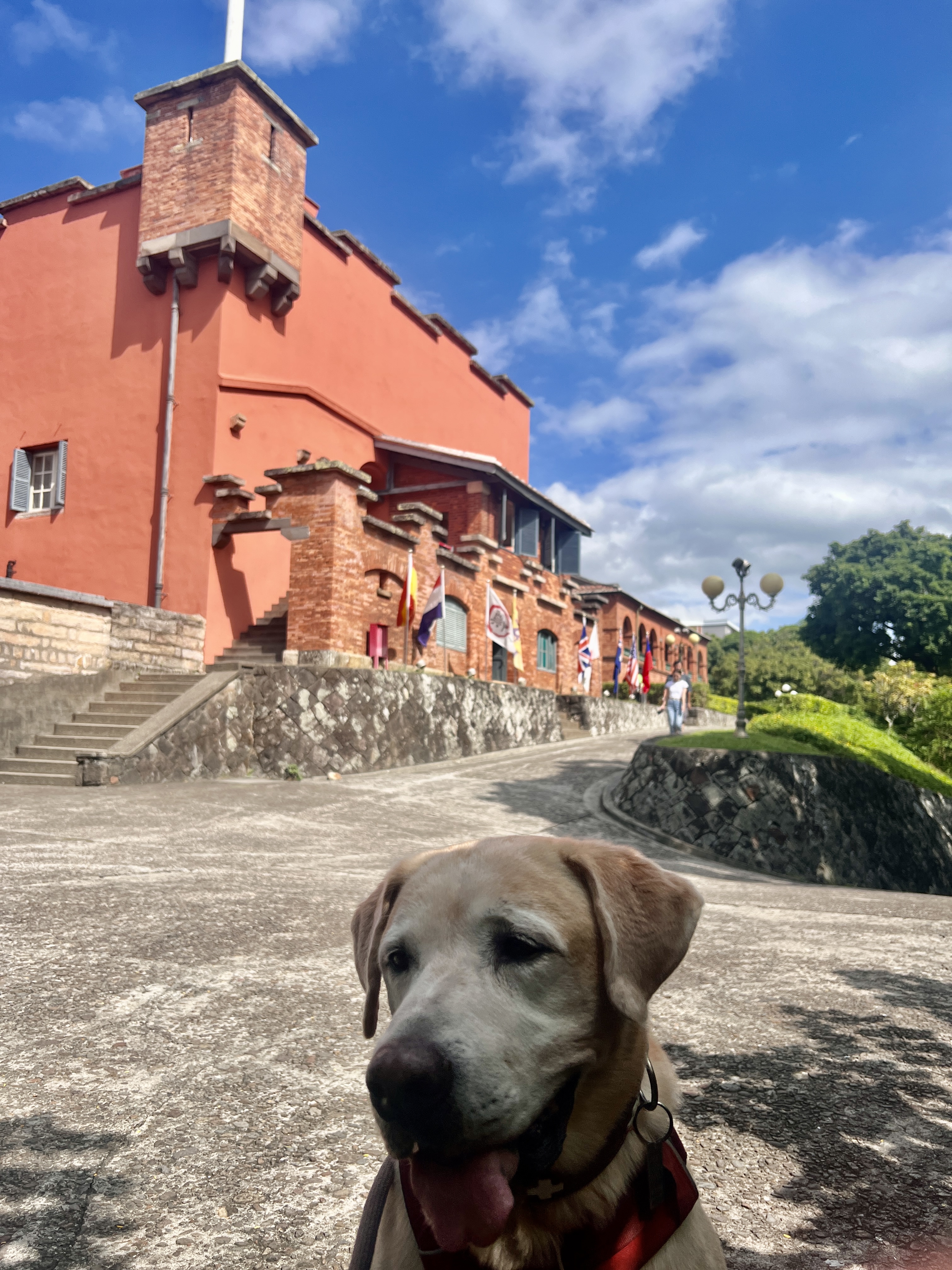 Tierisch unterwegs in Taiwan - mit Christiane und Bond Tierisch unterwegs in Taiwan - mit Christiane und Bond
