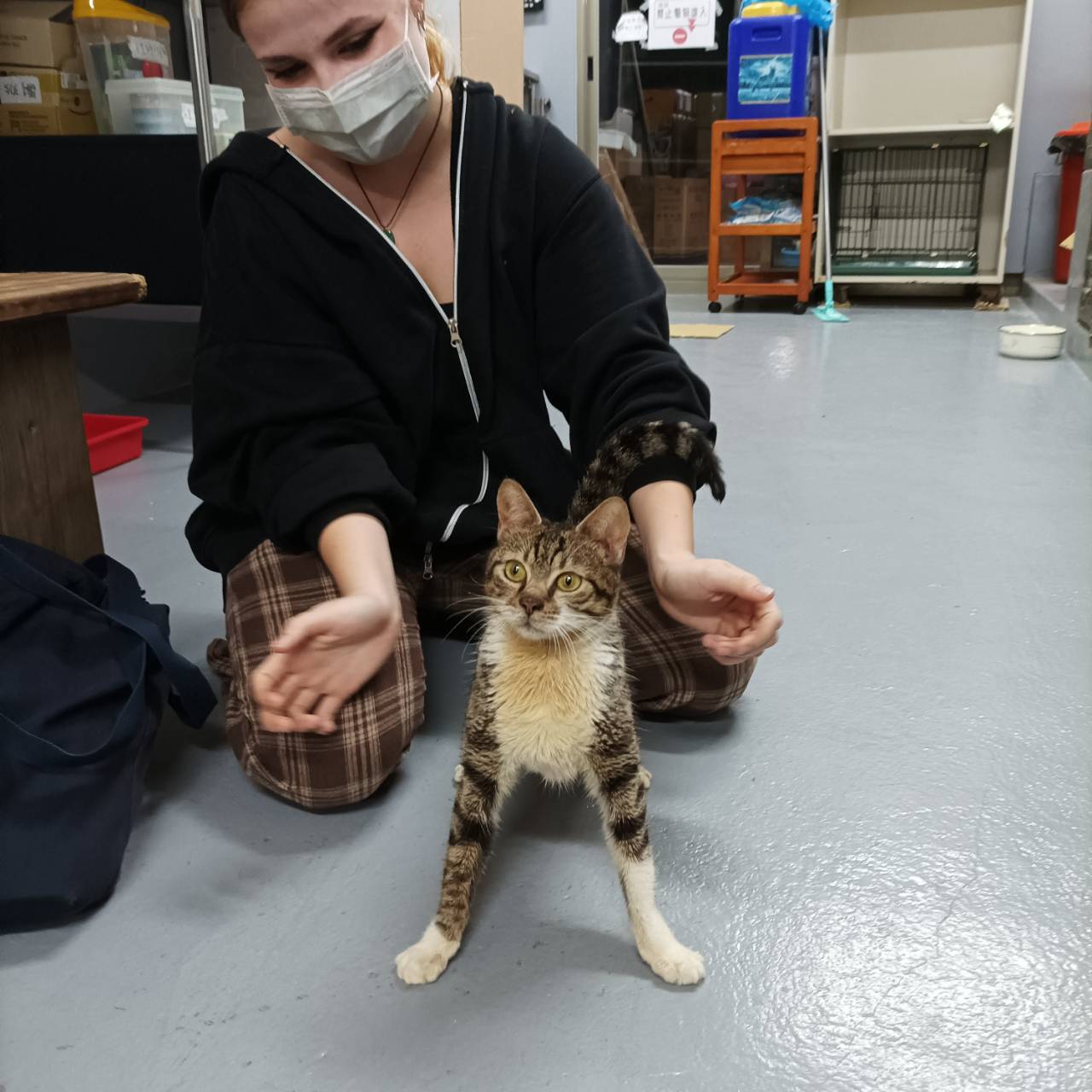 Leben in Taiwan