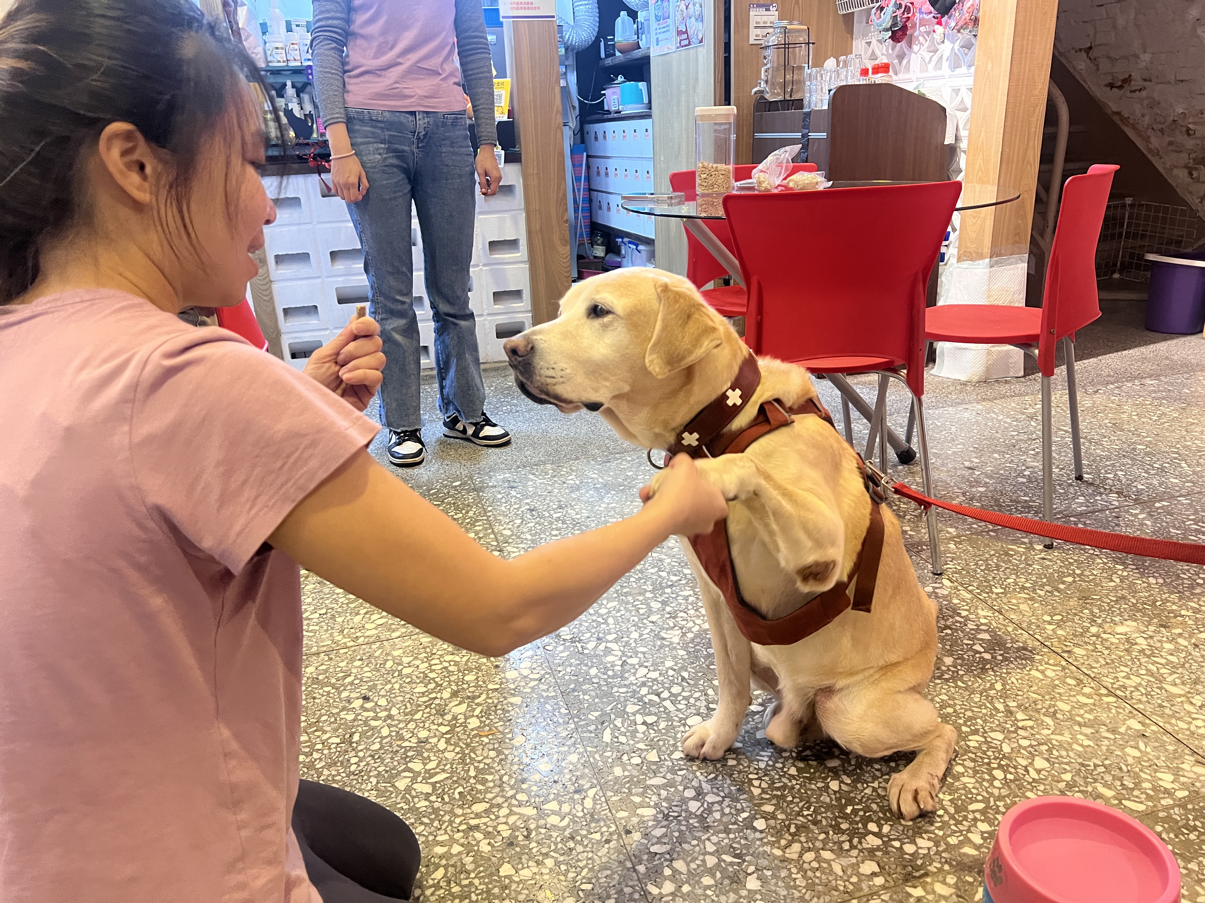 Tierisch unterwegs in Taiwan - mit Christiane und Bond