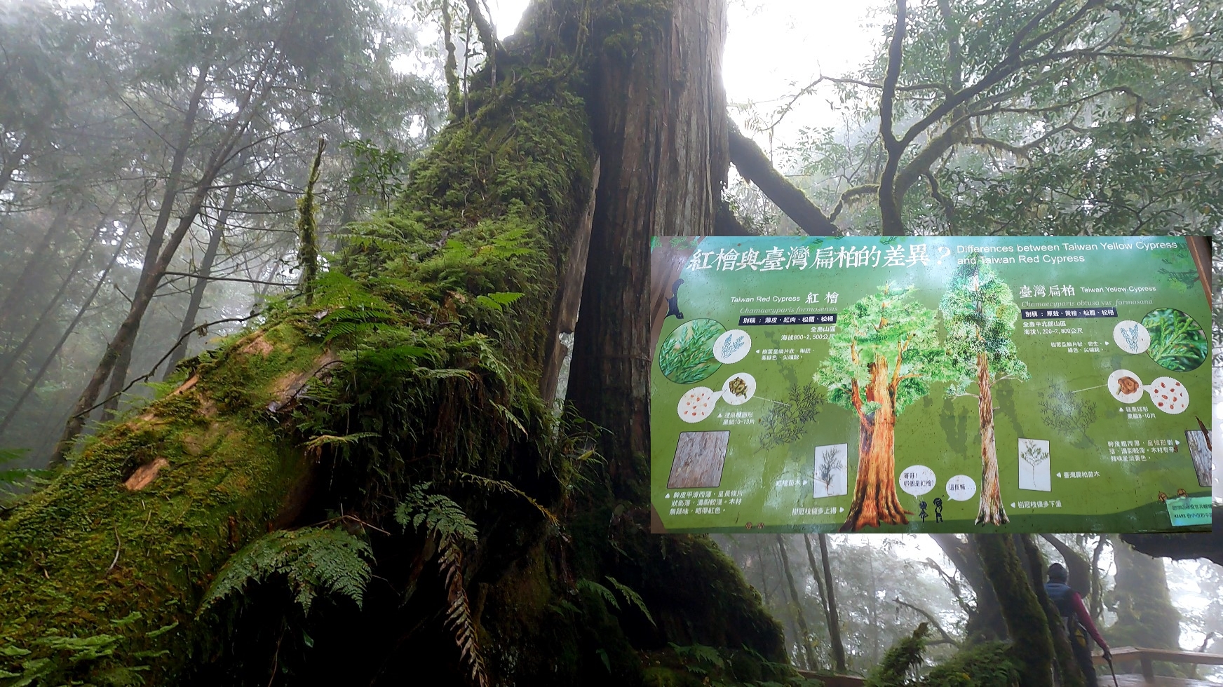 Reise durch Taiwan