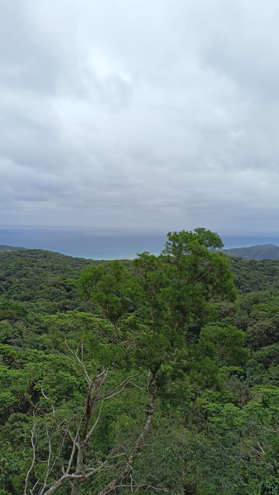 Reise durch Taiwan Reise durch Taiwan