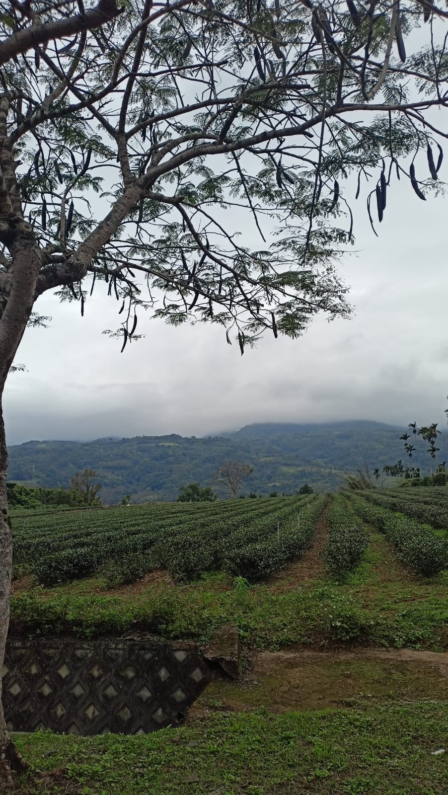 Reise durch Taiwan