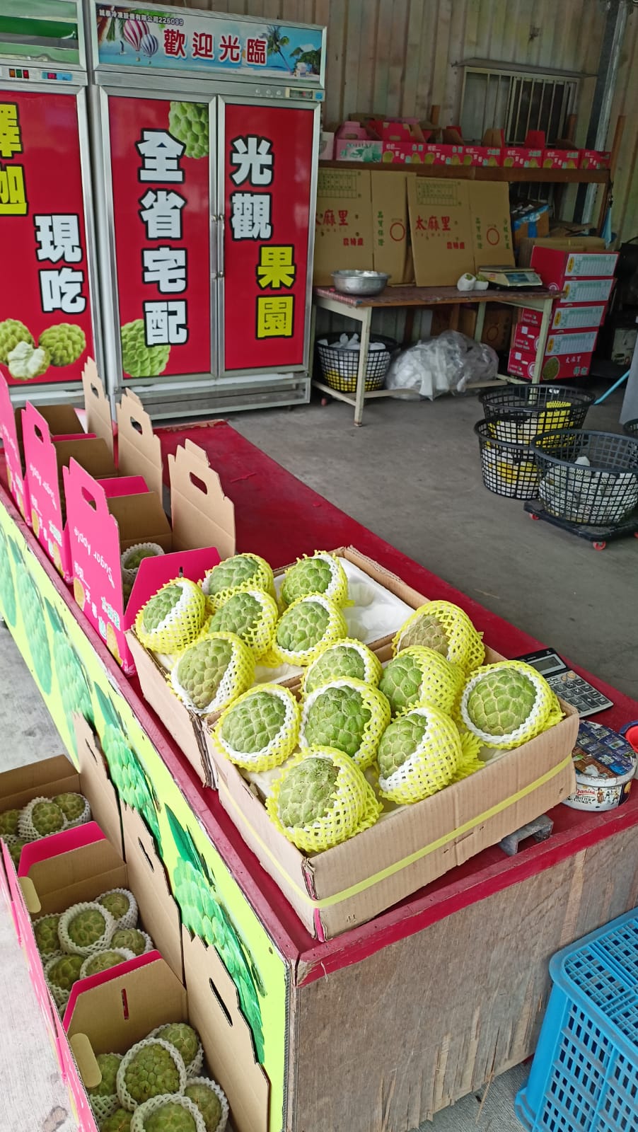Reise durch Taiwan