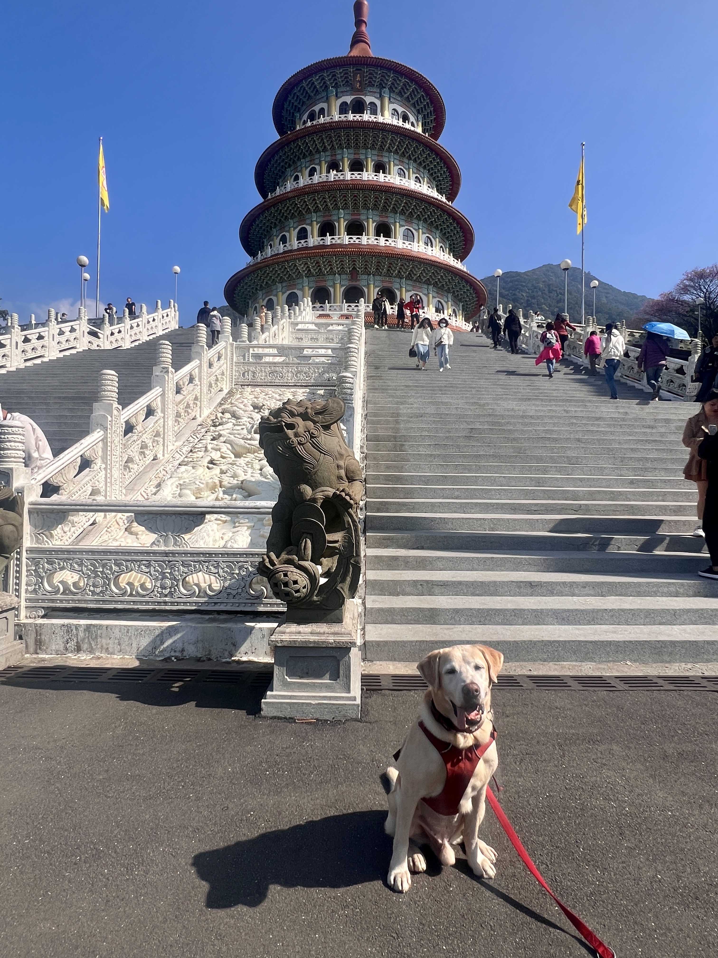 Tierisch unterwegs in Taiwan - mit Christiane und Bond