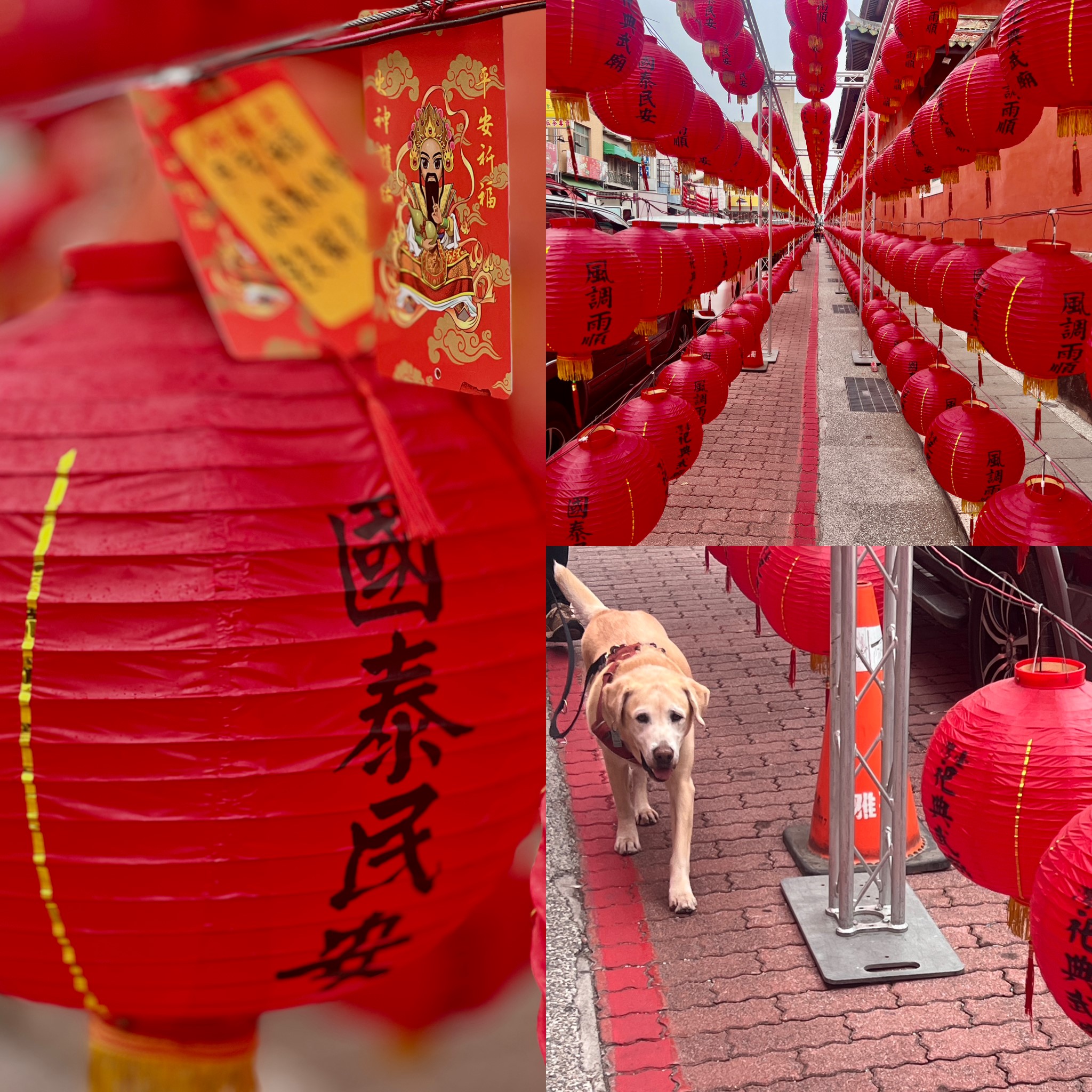 Tierisch unterwegs in Taiwan - mit Christiane und Bond Tierisch unterwegs in Taiwan - mit Christiane und Bond