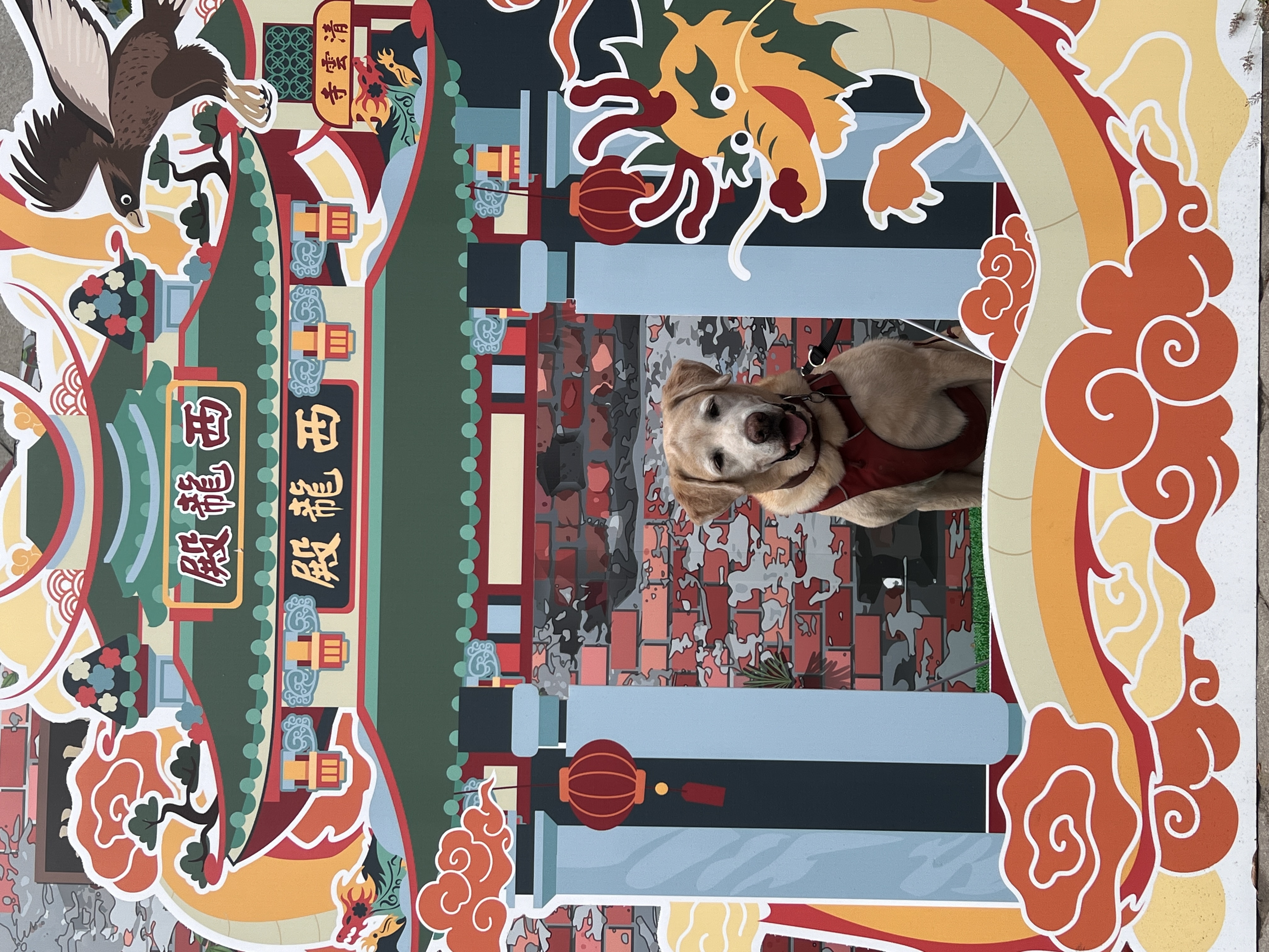 Tierisch unterwegs in Taiwan - mit Christiane und Bond