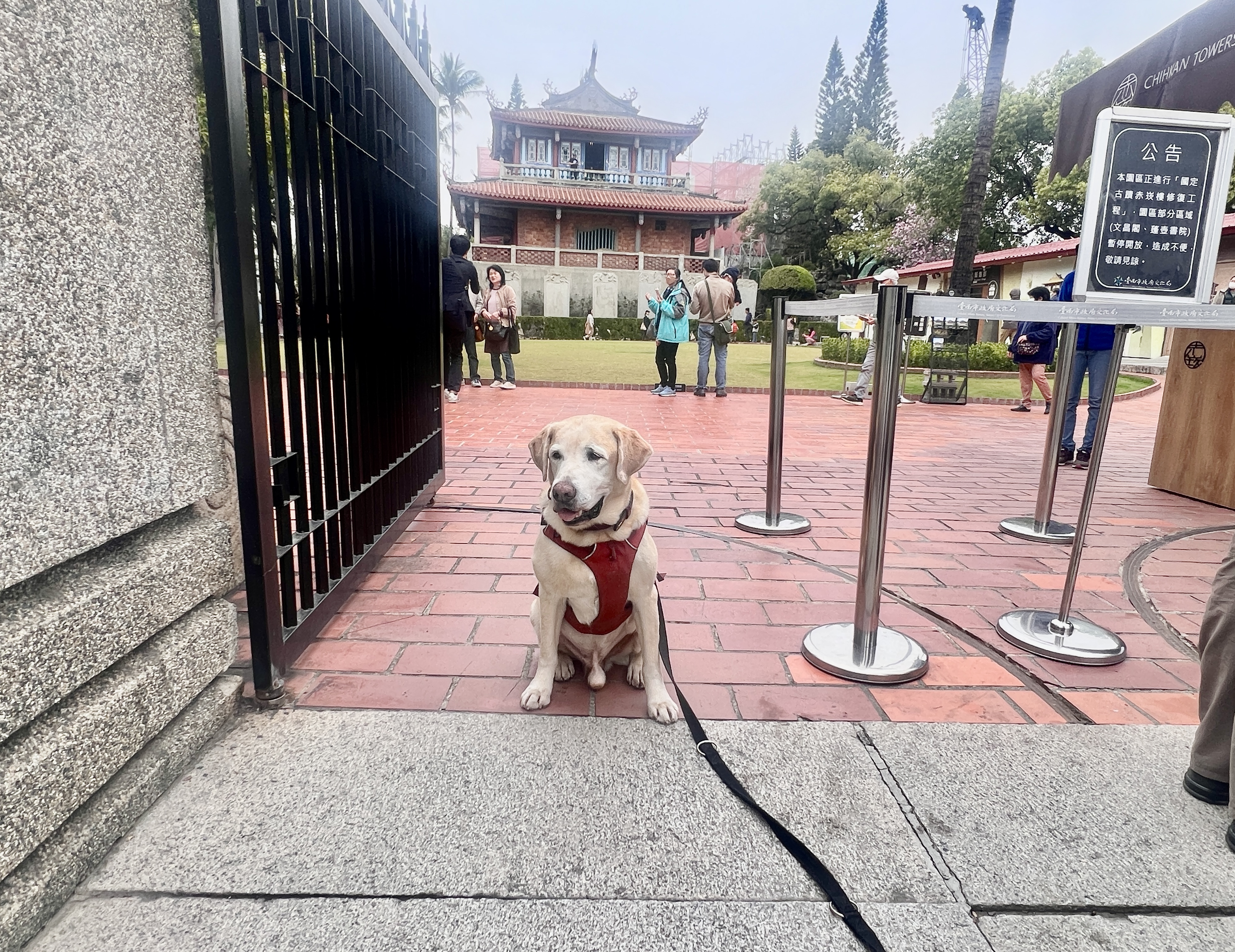 Tierisch unterwegs in Taiwan - mit Christiane und Bond Tierisch unterwegs in Taiwan - mit Christiane und Bond