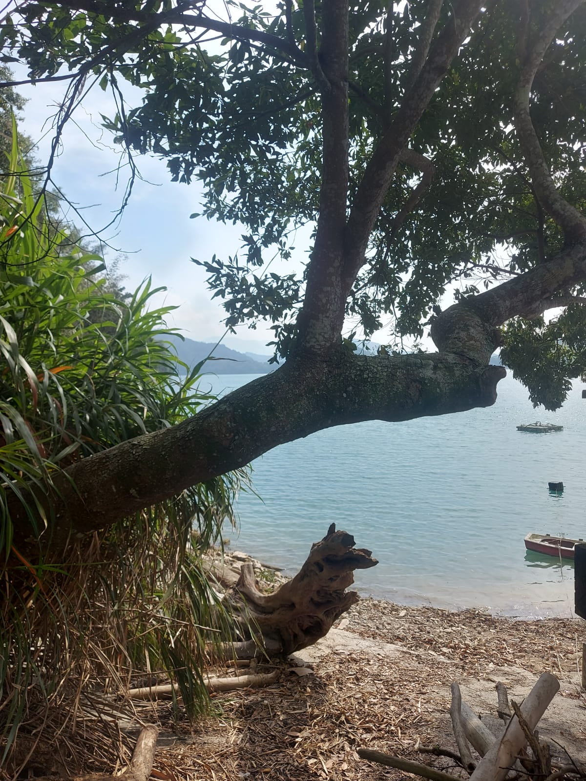 Reise durch Taiwan