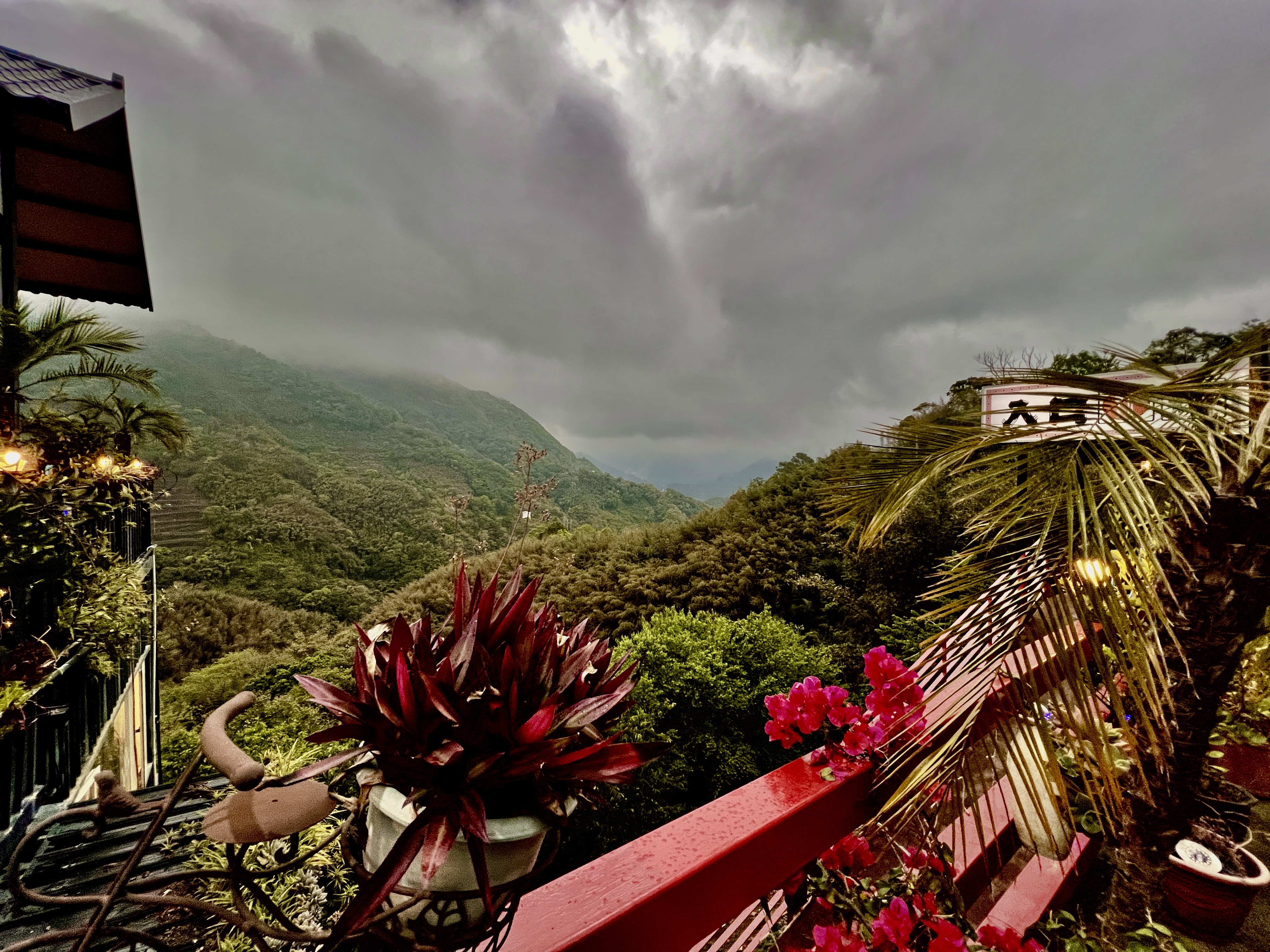 Tierisch unterwegs in Taiwan - mit Christiane und Bond