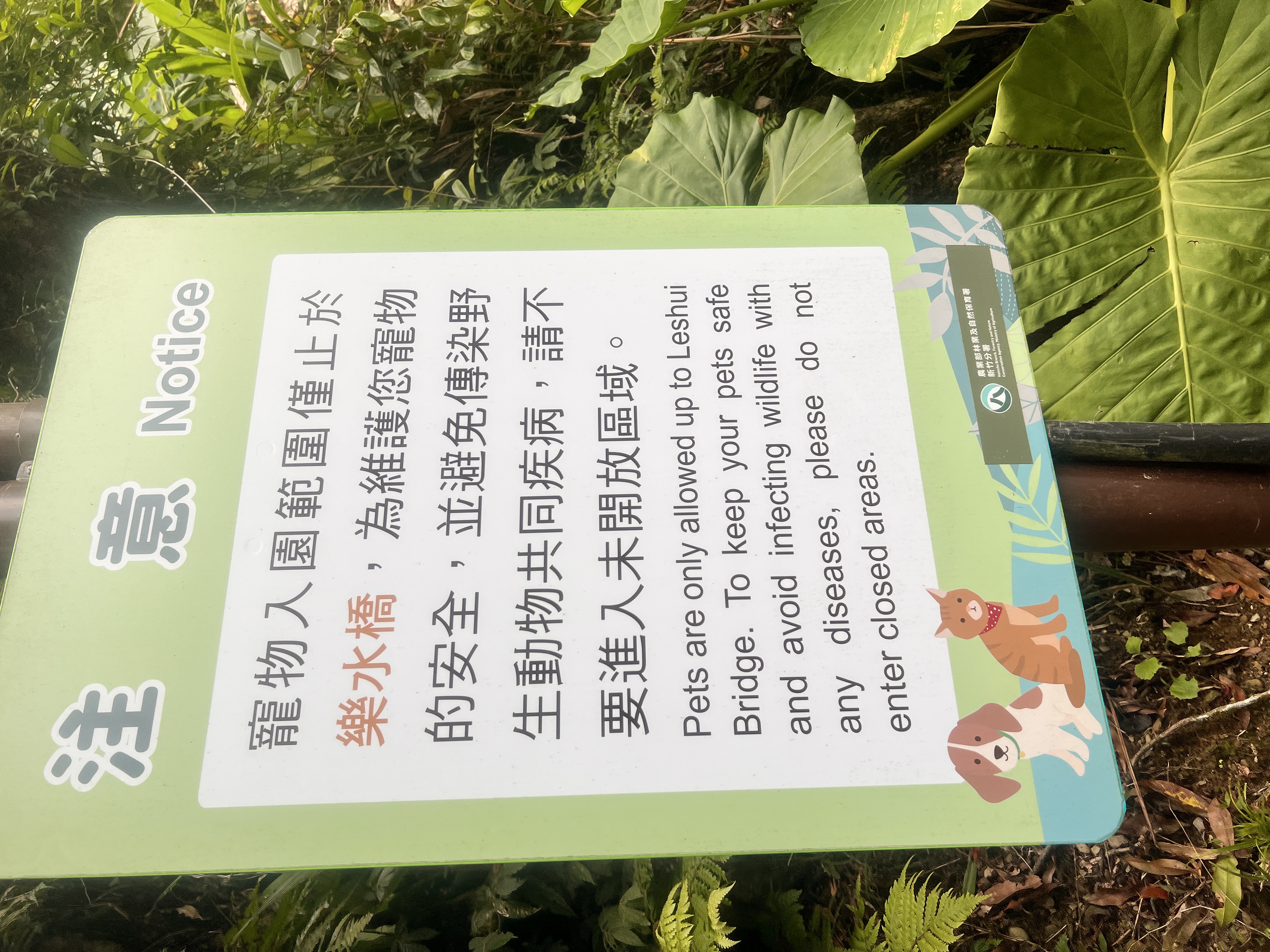 Tierisch unterwegs in Taiwan - mit Christiane und Bond