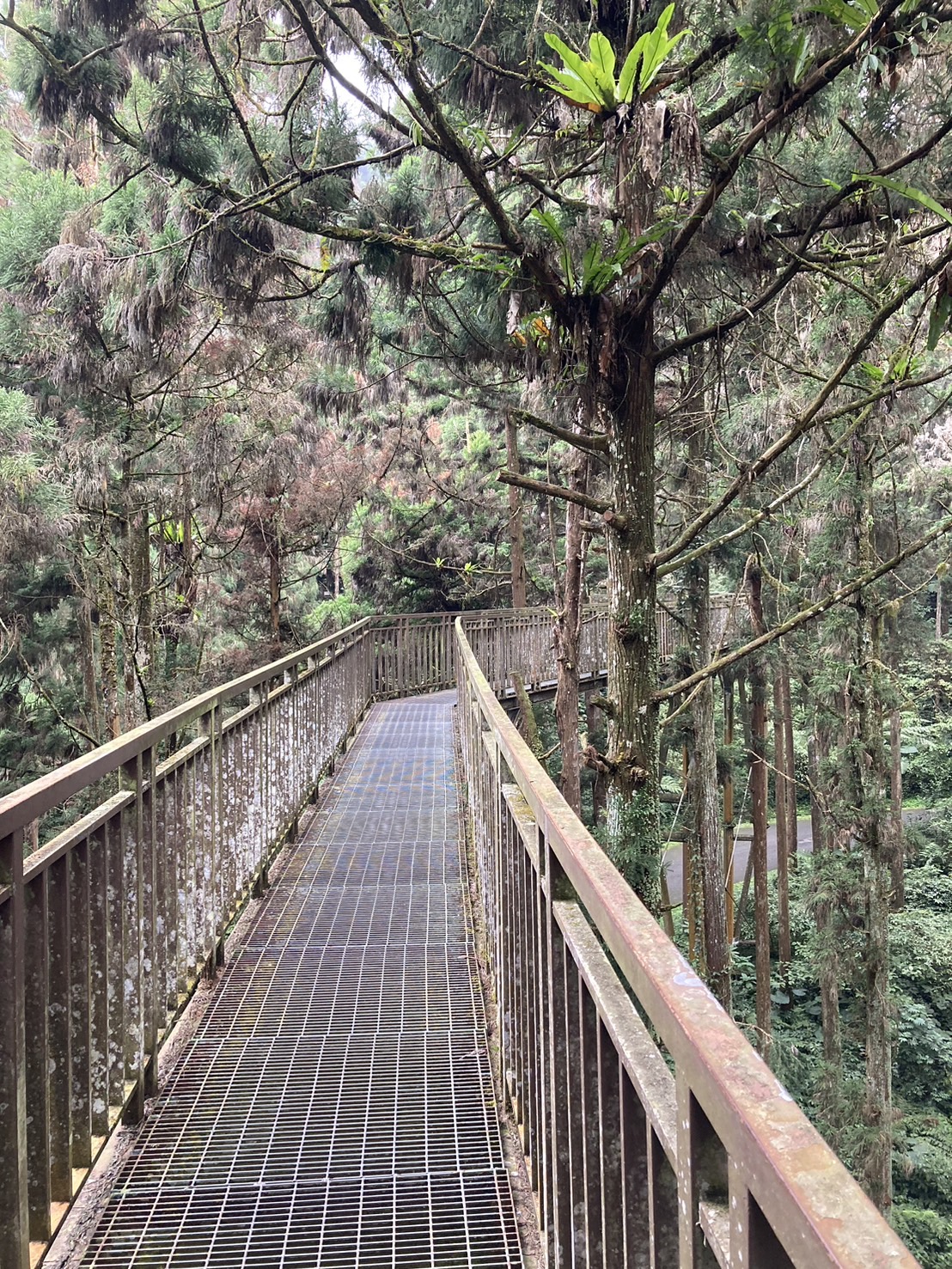 Reise durch Taiwan