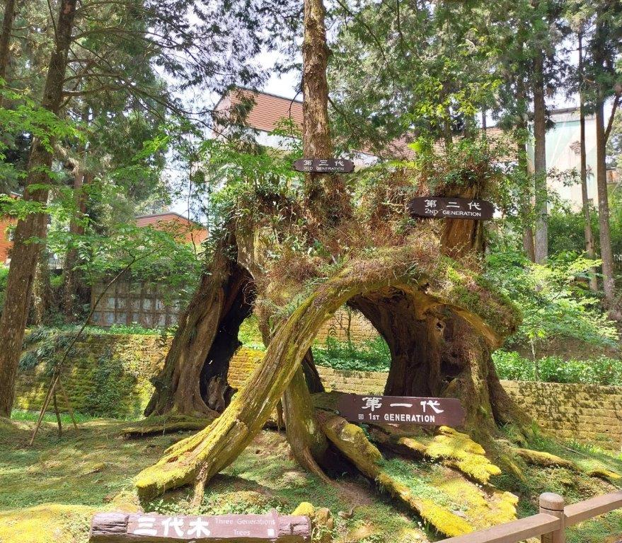 Reise durch Taiwan Reise durch Taiwan