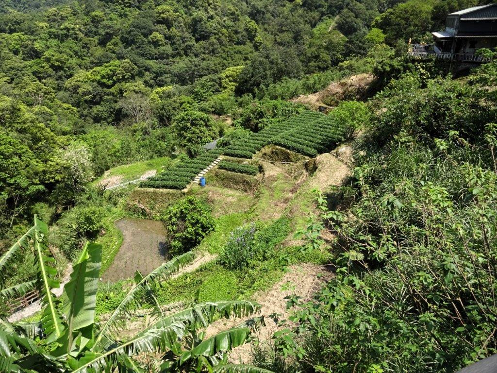 Reise durch Taiwan